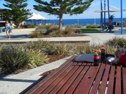 DSCN4173 - Copy.JPG DSCN4173 - Copy.JPG