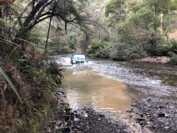 IMG_8142 (1).jpg IMG_8142 (1).jpg