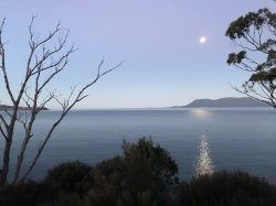 D323AAF1-1E96-43EC-B486-020E63AAFDD7.jpeg D323AAF1-1E96-43EC-B486-020E63AAFDD7.jpeg