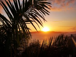 IMG_20180627_174944.jpg IMG_20180627_174944.jpg