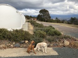 IMG_2295.JPG IMG_2295.JPG