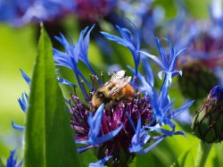 81C61BE3-D9BA-4A79-A200-6236895BEE4A.jpeg 81C61BE3-D9BA-4A79-A200-6236895BEE4A.jpeg