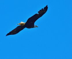 66402834-772D-4C51-AE86-C17F2627EA7F.jpeg 66402834-772D-4C51-AE86-C17F2627EA7F.jpeg