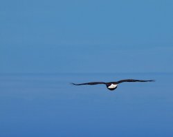 7E2668FF-9C43-498A-BE30-2921EBB105CE.jpeg 7E2668FF-9C43-498A-BE30-2921EBB105CE.jpeg