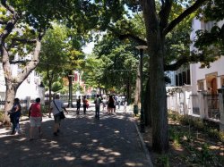 IMG_20161130_122559.jpg IMG_20161130_122559.jpg