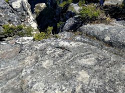 IMG_20161130_145113.jpg IMG_20161130_145113.jpg