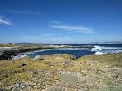 IMG_20161201_162003.jpg IMG_20161201_162003.jpg