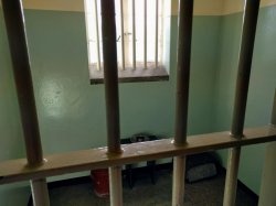 IMG_20161201_172250.jpg IMG_20161201_172250.jpg