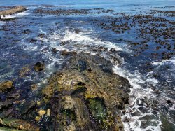 IMG_20161202_122009.jpg IMG_20161202_122009.jpg