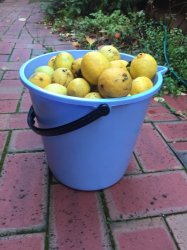 IMG_6019.JPG IMG_6019.JPG