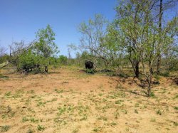 IMG_20161203_134225.jpg IMG_20161203_134225.jpg