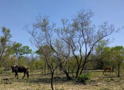 IMG_20161203_140950.jpg IMG_20161203_140950.jpg