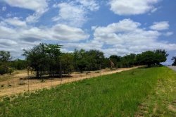 IMG_20161203_120128.jpg IMG_20161203_120128.jpg