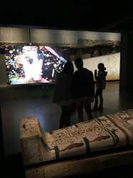 06F808C9-5877-4B69-A34D-DF2D966F9F19.jpeg 06F808C9-5877-4B69-A34D-DF2D966F9F19.jpeg