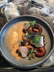 5AAB1808-DECF-4C3B-B7C4-9EE445F513F4.jpeg 5AAB1808-DECF-4C3B-B7C4-9EE445F513F4.jpeg