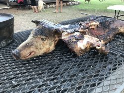 24CAEAA1-4320-49B7-8763-0C89E447EA20.jpeg 24CAEAA1-4320-49B7-8763-0C89E447EA20.jpeg