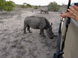 IMG_20161203_183314.jpg IMG_20161203_183314.jpg