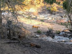 IMG_20161203_174552.jpg IMG_20161203_174552.jpg