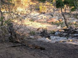 IMG_20161203_174120.jpg IMG_20161203_174120.jpg