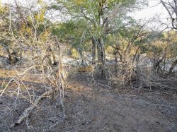 IMG_20161203_173834.jpg IMG_20161203_173834.jpg