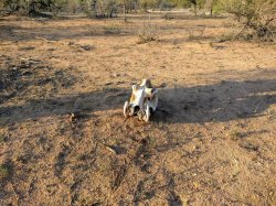 IMG_20161203_172855.jpg IMG_20161203_172855.jpg