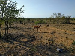 IMG_20161203_165423.jpg IMG_20161203_165423.jpg