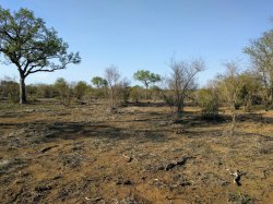 IMG_20161203_164104.jpg IMG_20161203_164104.jpg