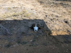 IMG_20161203_162111.jpg IMG_20161203_162111.jpg