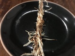 7C2436F8-884F-47FE-8959-0B64A08939B6.jpeg 7C2436F8-884F-47FE-8959-0B64A08939B6.jpeg