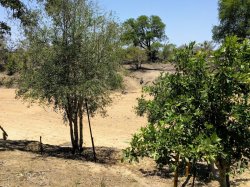 IMG_20161204_120821.jpg IMG_20161204_120821.jpg