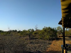 IMG_20161204_055209.jpg IMG_20161204_055209.jpg