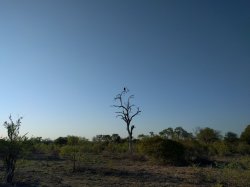 IMG_20161204_055304.jpg IMG_20161204_055304.jpg