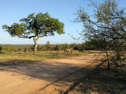 IMG_20161204_060843.jpg IMG_20161204_060843.jpg