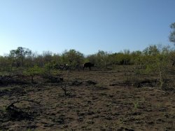 IMG_20161204_063941.jpg IMG_20161204_063941.jpg