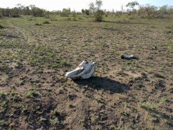 IMG_20161204_064456.jpg IMG_20161204_064456.jpg