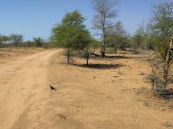 IMG_20161204_082054.jpg IMG_20161204_082054.jpg