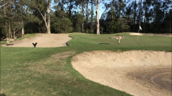 3B021AD7-0E7A-4E8A-82FE-75DB9C64266B.png 3B021AD7-0E7A-4E8A-82FE-75DB9C64266B.png