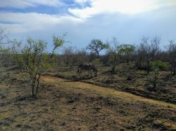 IMG_20161204_161535.jpg IMG_20161204_161535.jpg