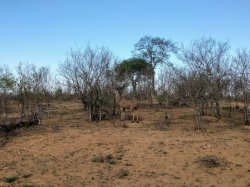 IMG_20161204_163339.jpg IMG_20161204_163339.jpg