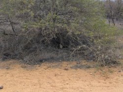 IMG_20161204_165208.jpg IMG_20161204_165208.jpg