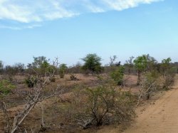 IMG_20161204_170636.jpg IMG_20161204_170636.jpg