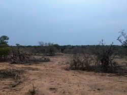 IMG_20161204_172132.jpg IMG_20161204_172132.jpg