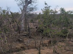 IMG_20161204_173658.jpg IMG_20161204_173658.jpg