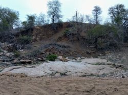 IMG_20161204_182038.jpg IMG_20161204_182038.jpg