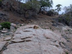 IMG_20161204_182446.jpg IMG_20161204_182446.jpg