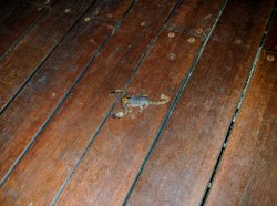 IMG_20161204_210410.jpg IMG_20161204_210410.jpg