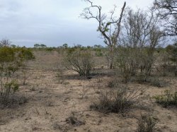 IMG_20161205_060420.jpg IMG_20161205_060420.jpg