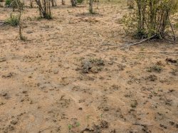 IMG_20161205_071032.jpg IMG_20161205_071032.jpg