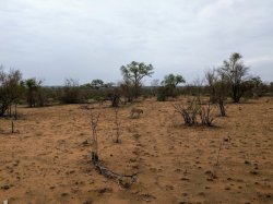 IMG_20161205_071332.jpg IMG_20161205_071332.jpg