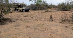 IMG_20161205_072044.jpg IMG_20161205_072044.jpg